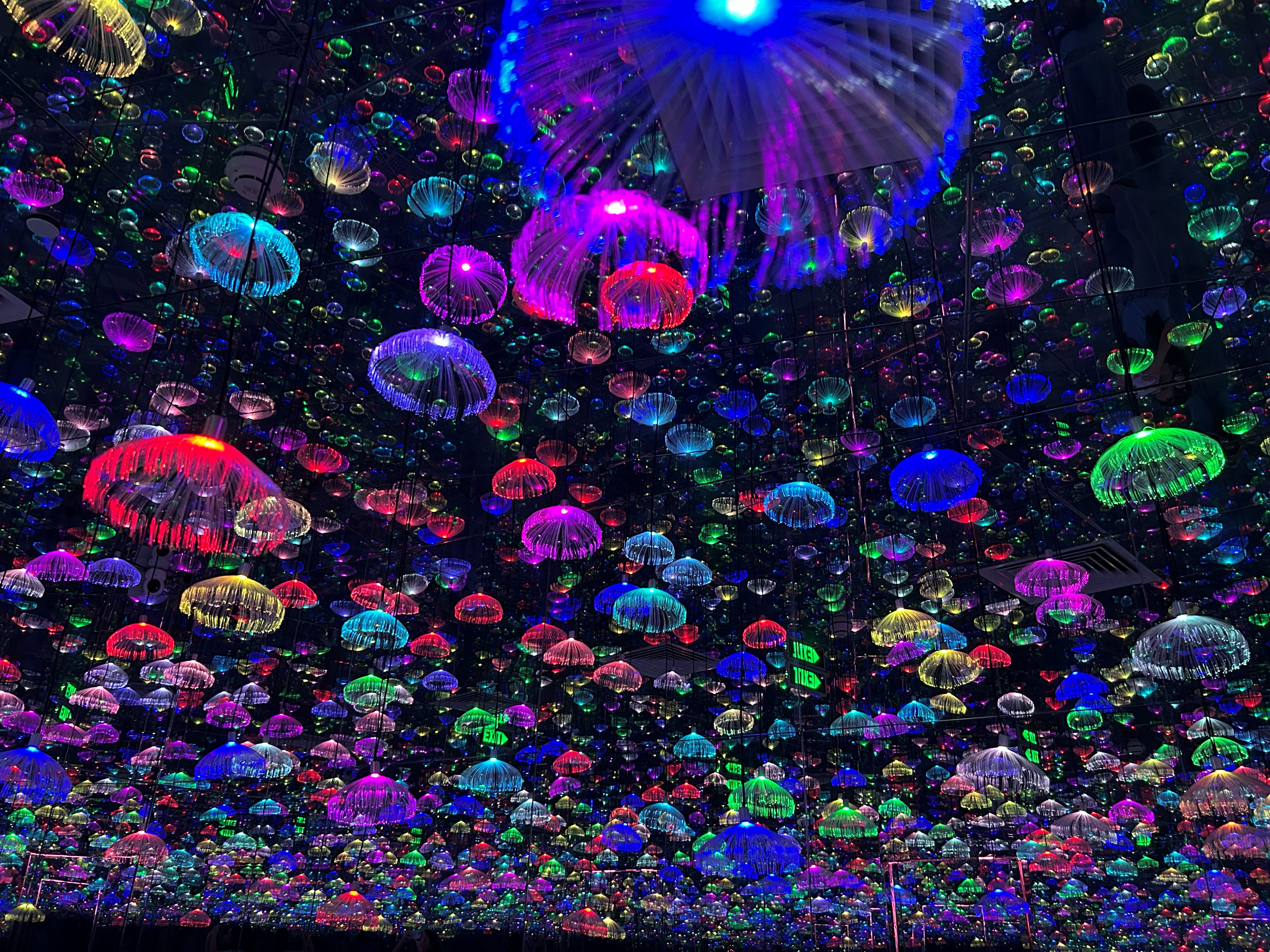 Event image 4